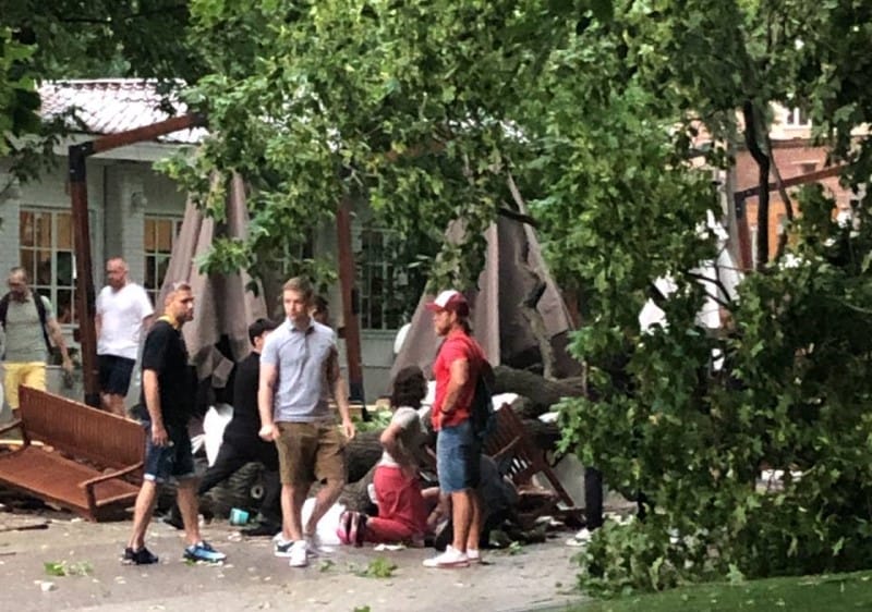 ураган 10 июля, упавшее дерево