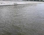 загрязнение воды, пятно на воде, Москва-река, фото КГХ