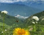 природа отдых отпуск горыФото Ольги Волковой