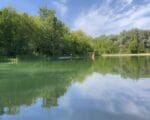 пруд, Фото – скриншоты видео из телеграм-канала Алексея Шапошникова