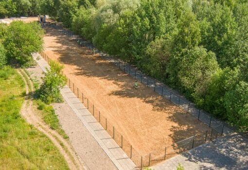 спортивный ландшафт, битцевский лес, фото mos.ru