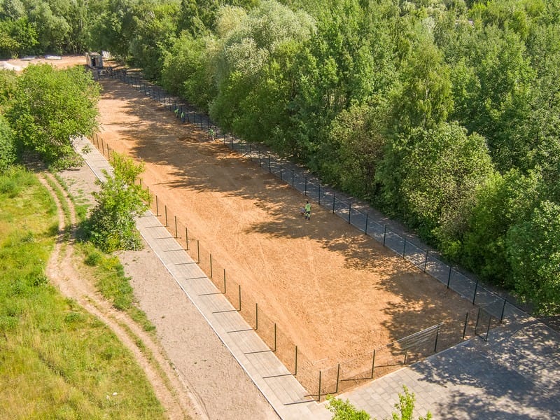 спортивный ландшафт, битцевский лес, фото mos.ru