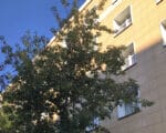 общежитие