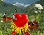 День сердца Коллаж МП