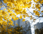 Погода Фото Софьи Сандурской / агентство «Москва»