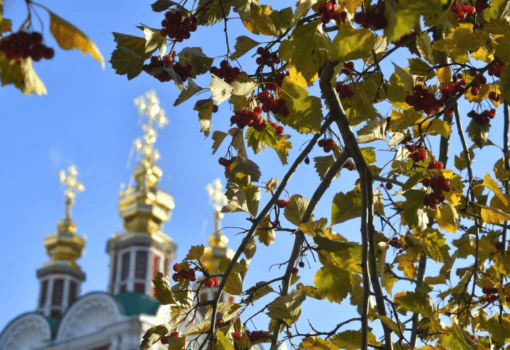 осень церковь погода сергей киселёв Фото Сергея Киселёва / агентство «Москва»
