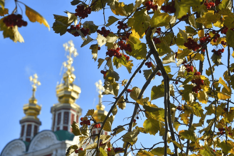 осень церковь погода сергей киселёв Фото Сергея Киселёва / агентство «Москва»
