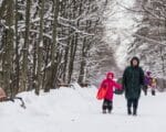 экотропа "Знакомство с лесом", зима, прогулка, парк, фото КГХ