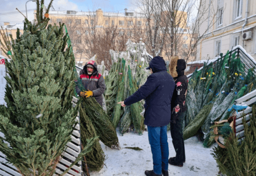 Фото Дениса Воронина / агентство «Москва»