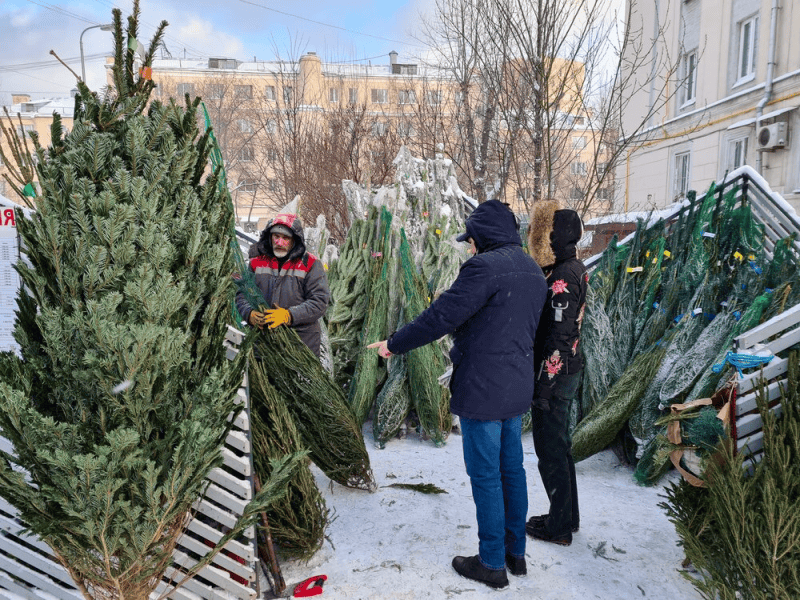 Фото Дениса Воронина / агентство «Москва»