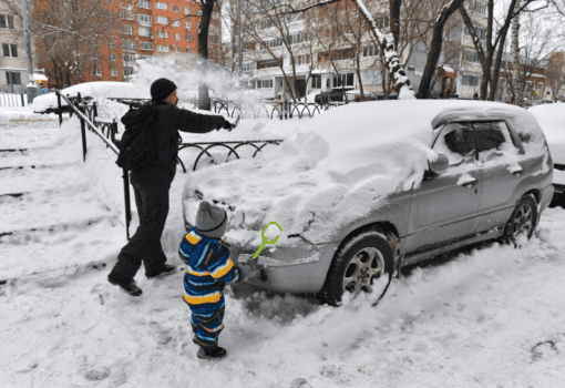 Москва, погода, оттепель, декабрь