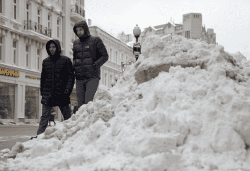 Фото Пелагии Тихоновой / агентство «Москва»