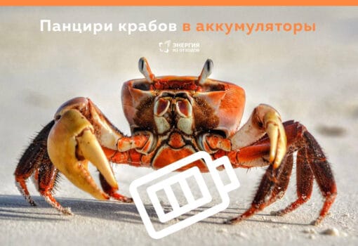 По информации телеграм-канала #zerowaste