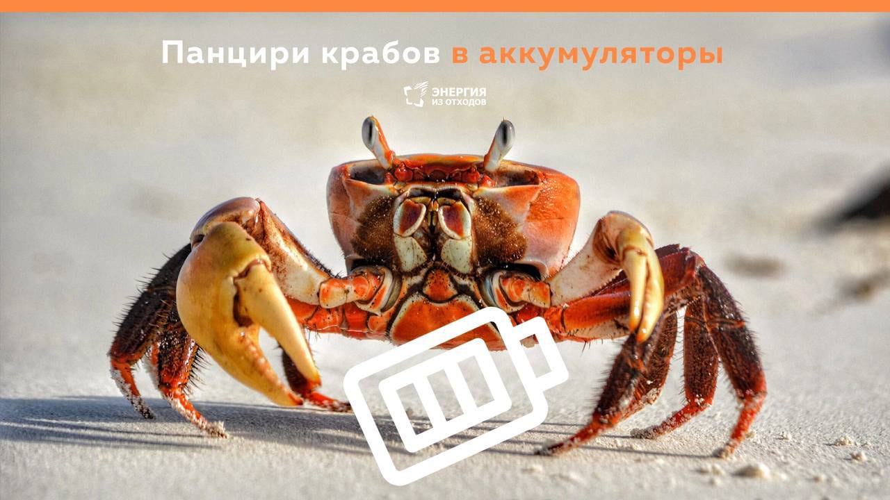 По информации телеграм-канала #zerowaste