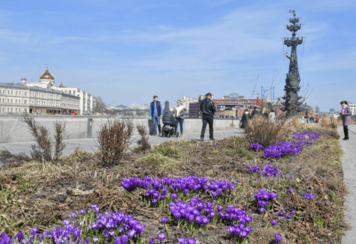 весна, погода, первоцветы, парк горького, Фото Сергея Киселёва / агентство «Москва»