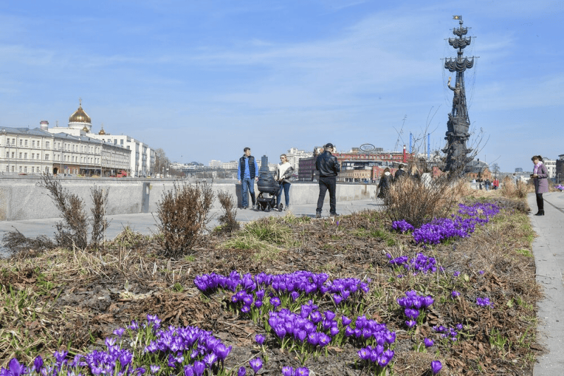 весна, погода, первоцветы, парк горького, Фото Сергея Киселёва / агентство «Москва»