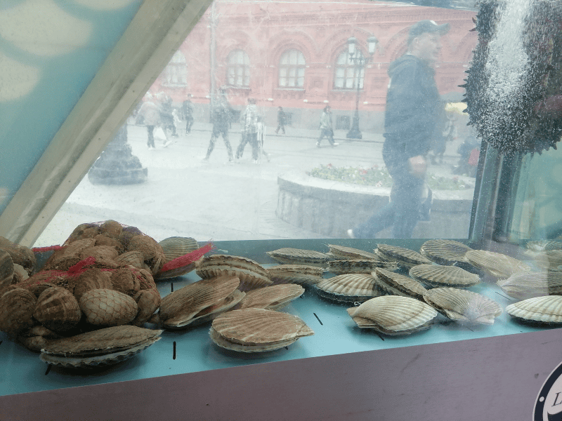 Фото «Московской правды»