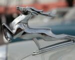 машина, волга, олень ,газ ,Фото Михаила Ковалёва