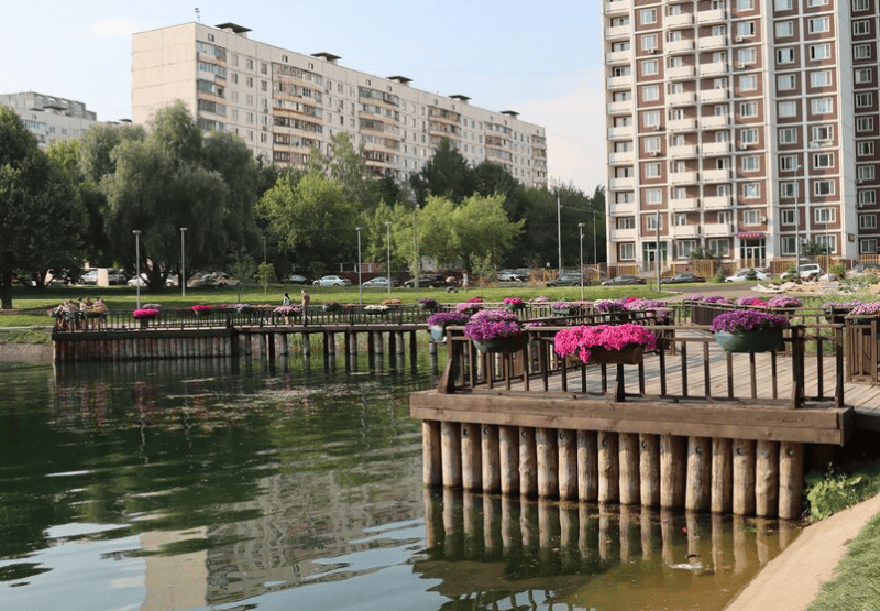 23 июля пруд Фото мобильного репортера / агентство «Москва»