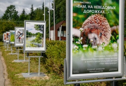 Там, на неведомых дорожках Фотовыставка Фото: Мосприрода