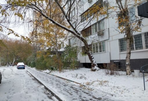 снег, фото Яна Маевская