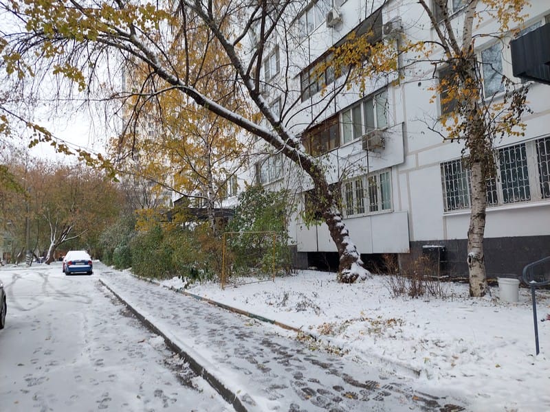 снег, фото Яна Маевская