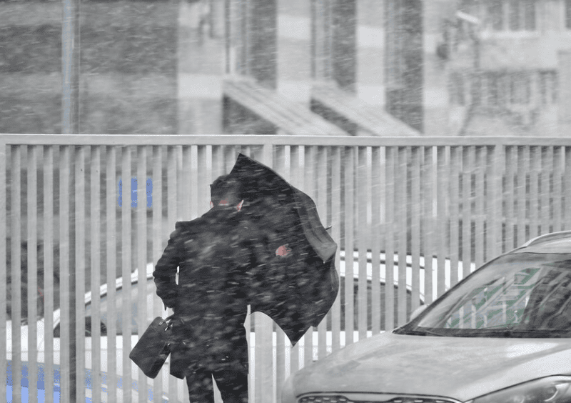 погода, снег, ноябрь,Фото Сергея Киселёва / агентство «Москва»