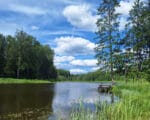 Фото МП природа озеро лето
