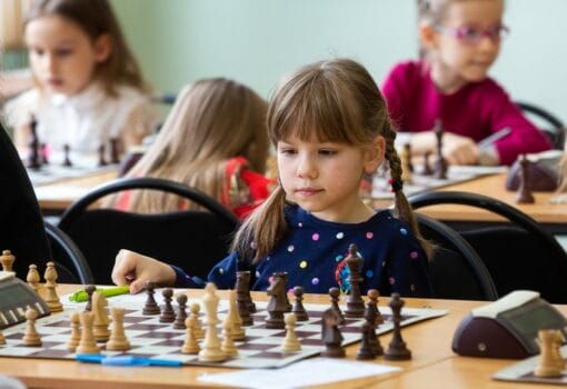 школа ботвинника ботвинник шахматы подборка ретушь