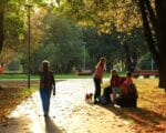 осень, парк 40 летия ВЛКСМ, разговор, скамейка, фото Юлия Смагринская