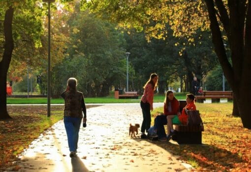 осень, парк 40 летия ВЛКСМ, разговор, скамейка, фото Юлия Смагринская