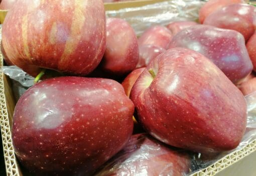 яблоко, фото Юлии Смагринской