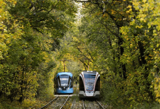 осень, трамваи, Фото Артура Новосильцева / агентство «Москва»