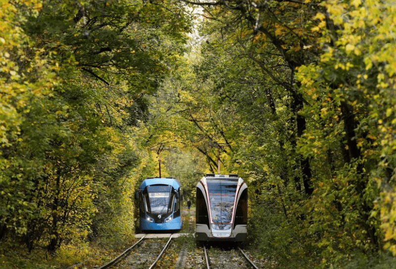 осень, трамваи, Фото Артура Новосильцева / агентство «Москва»