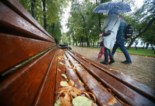 погода, дождь, осень,Фото Сергея Ведяшкина / агентство «Москва»