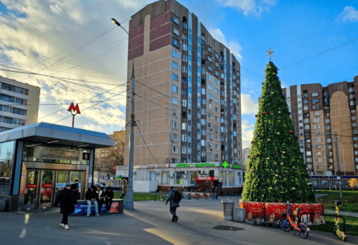 ноябрь, елка, Фото мобильного репортера / агентство «Москва»