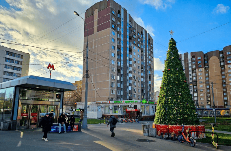 ноябрь, елка, Фото мобильного репортера / агентство «Москва»