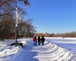 Алтуфьевский парк, зима, снег, фото Юлия Смагринская