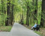 парк, лето, деревья, фото Юлия Смагринская
