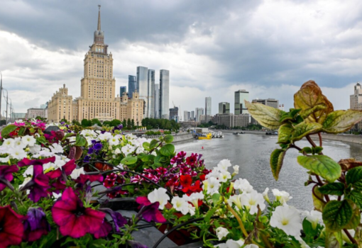 Лето, Москва-река, мост, цветы, Фото Сергея Киселева / агентство «Москва»