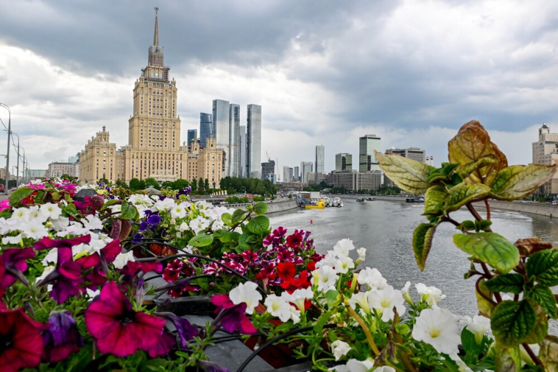 Лето, Москва-река, мост, цветы, Фото Сергея Киселева / агентство «Москва»