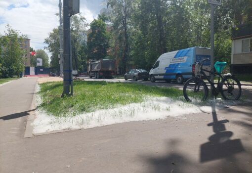 тополиный пух, фото Яны Маевской