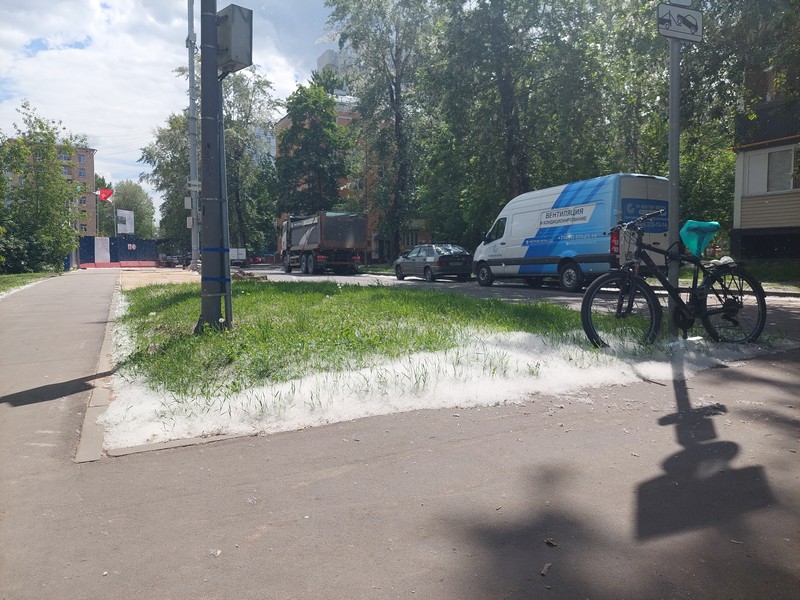 тополиный пух, фото Яны Маевской