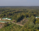 Ясная поляна