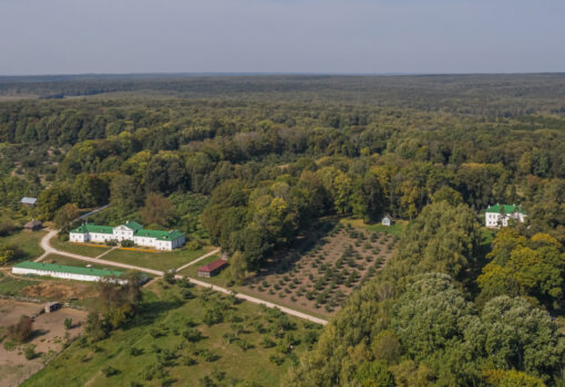 Ясная поляна